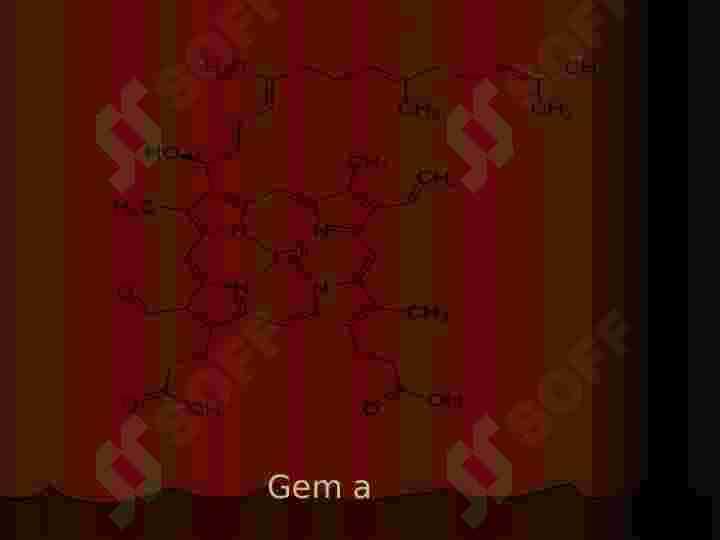 Sitoxromoksidaza fermenti 3