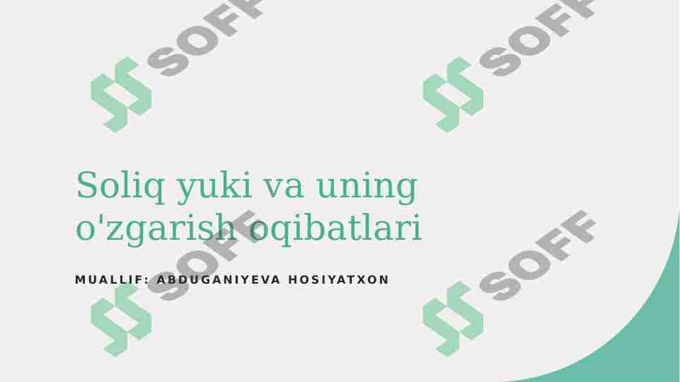 Soliq yuki 1