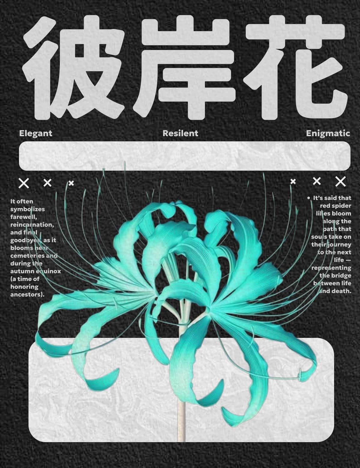 Spider Lilly guliga poster 1