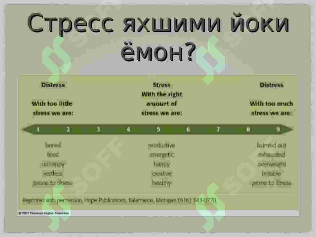 Stress nima 3