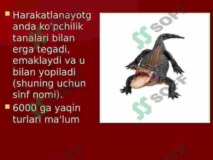 Sudralib yuruvchilar sinfi 3