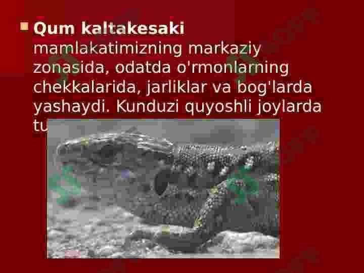 Sudralib yuruvchilar sinfi 5