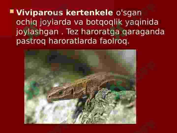 Sudralib yuruvchilar sinfi 6