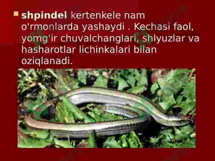 Sudralib yuruvchilar sinfi 7
