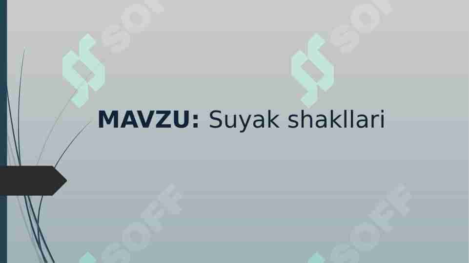 Suyak shakllari 1