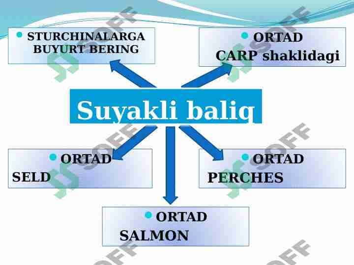 Suyakli baliq 1
