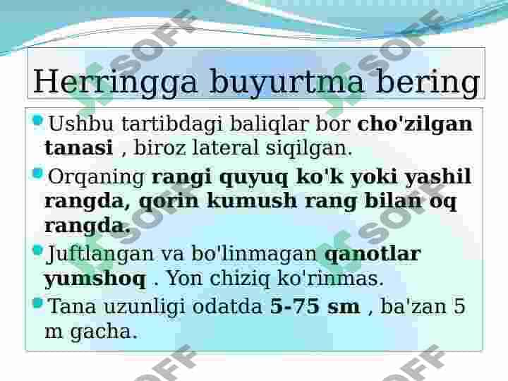 Suyakli baliq 4