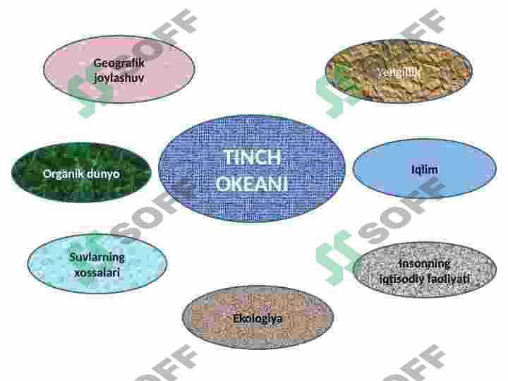 TINCH OKEANI 5