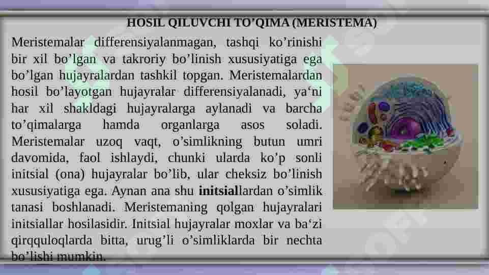 TO’QIMALAR 7