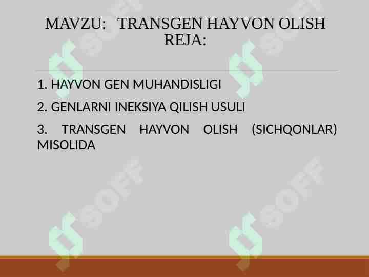 TRANSGEN HAYVON OLISH 1