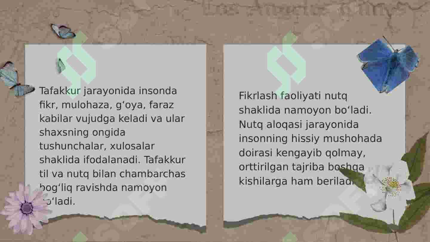 Tafakkur 4