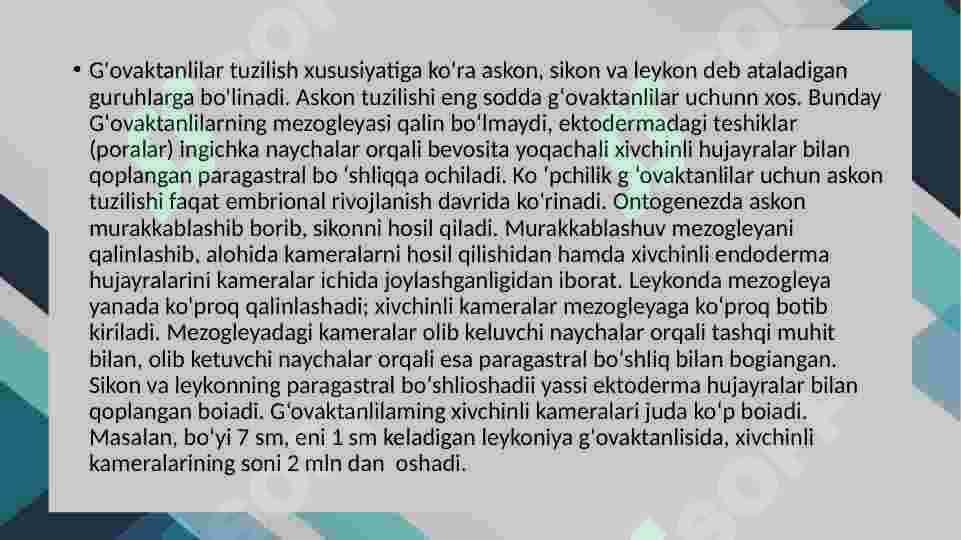 GʻOVAKTANLILAR TIPI “ SYCON RAPHANUS” NING TUZILISHI, TANA HUJAYRALARI 4