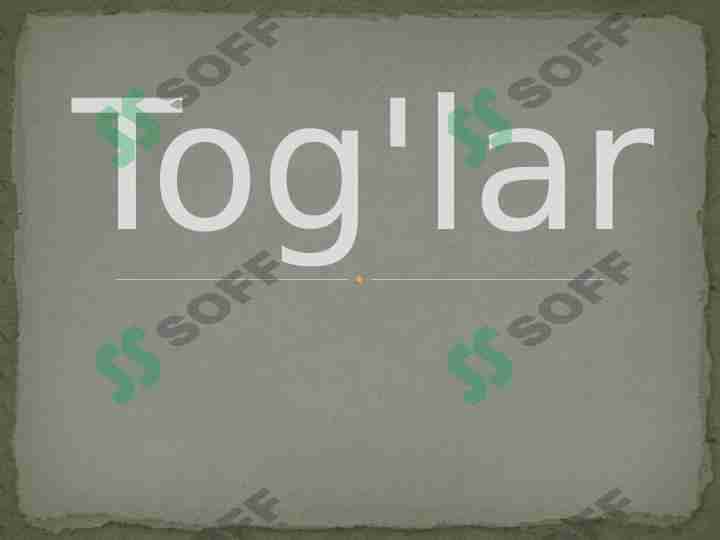 Tog'lar 1