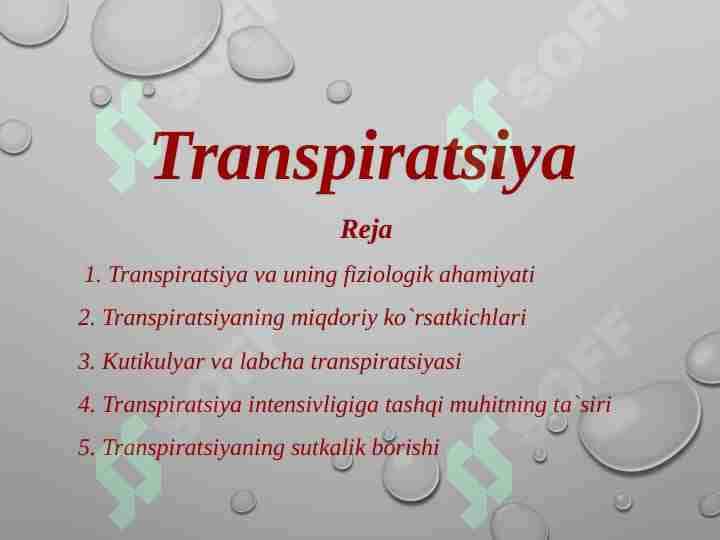 Transpiratsiya 1