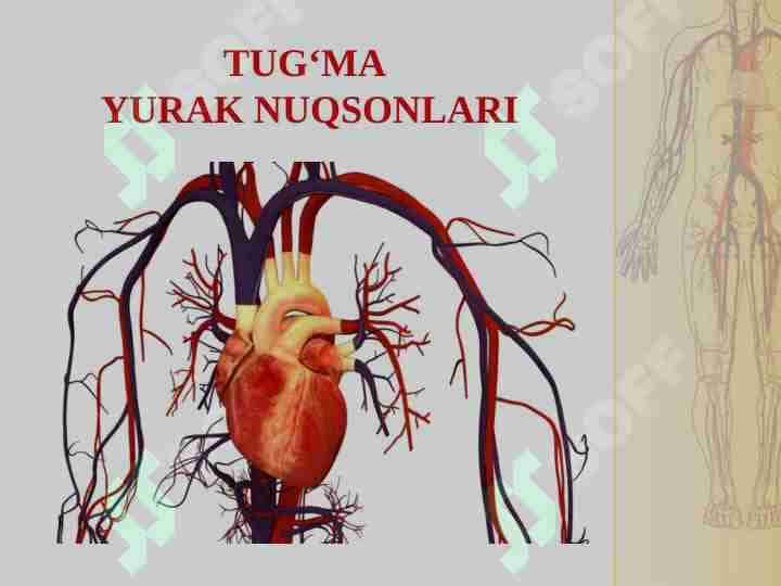 TUG‘MA YURAK NUQSONLARI 1