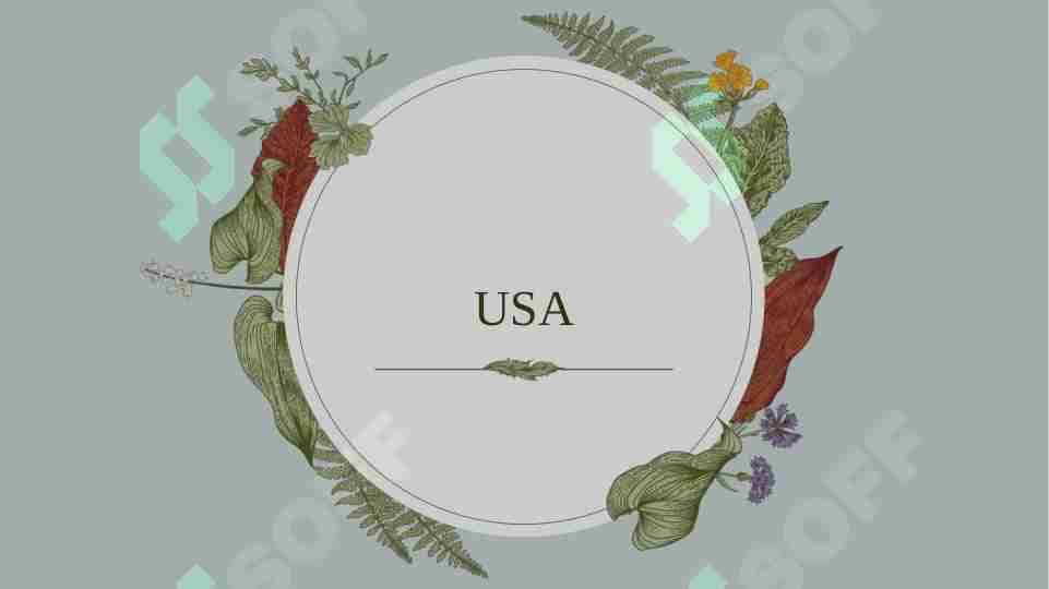 The USA