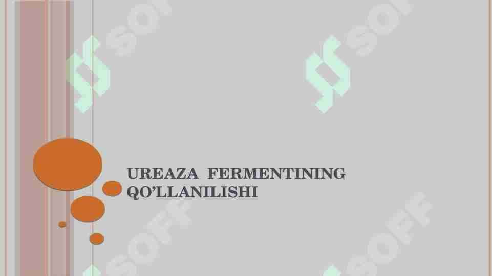 Ureaza  fermentining qo’llanilishi 1