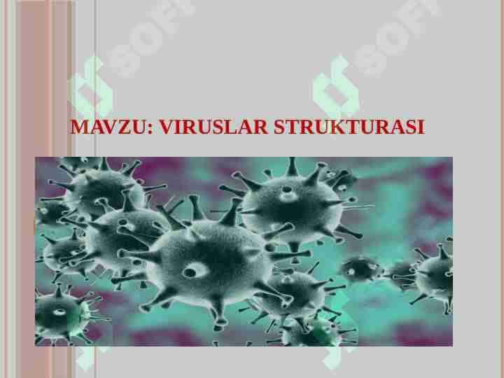 VIRUSLAR STRUKTURASI 1