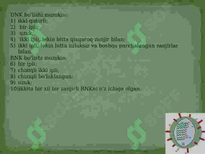 Viruslarning tuzilishi 7