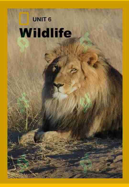Wildlife