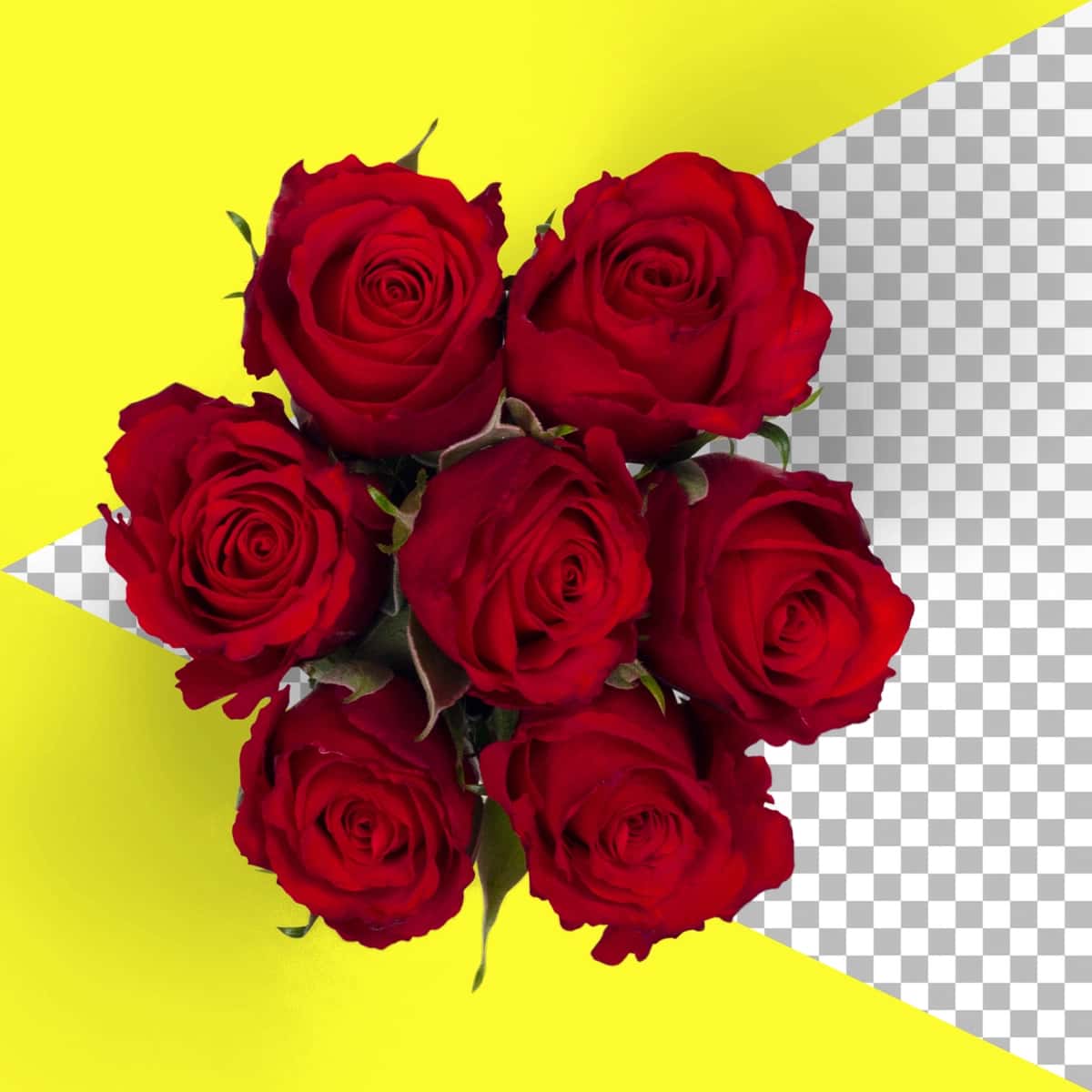 Izolyatsiya qilingan qizil atirgullarni ko'ring | Top up view isolated red roses 1
