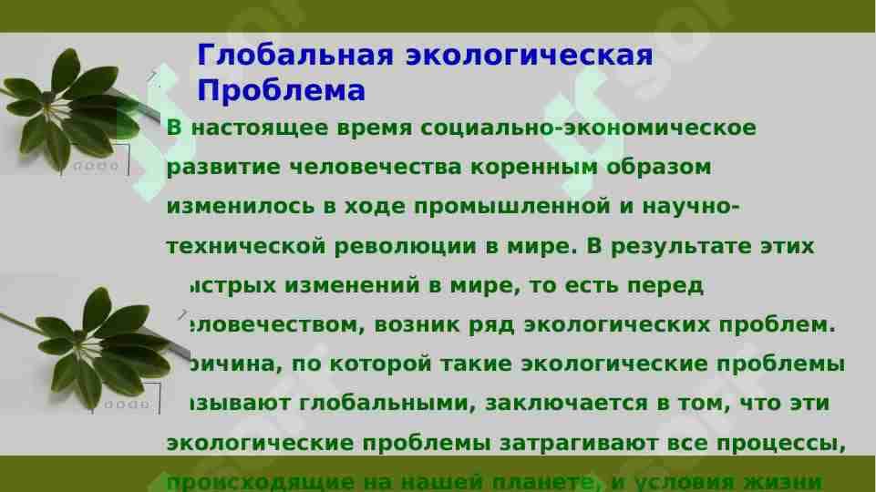 Глобальная экологическая Проблема