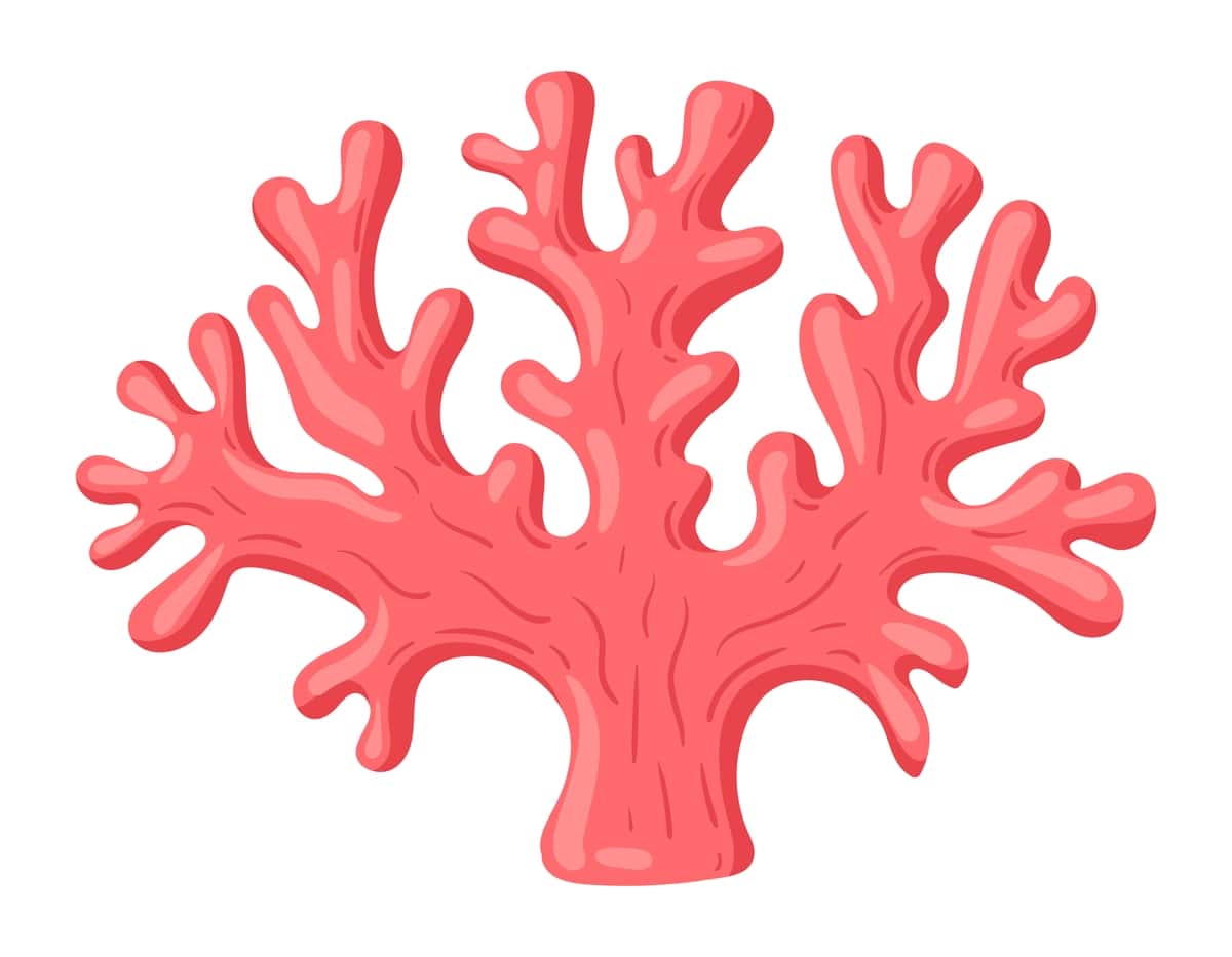 Multfilm okean marjonlari suv osti dengiz florasi marjon rifining dengiz qismi | Cartoon ocean coral underwater marine flora coral reef part sea 1