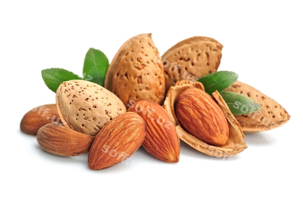 Badem bilan yaproqlar yaxlitlangan | Almonds with leaves closeups 1
