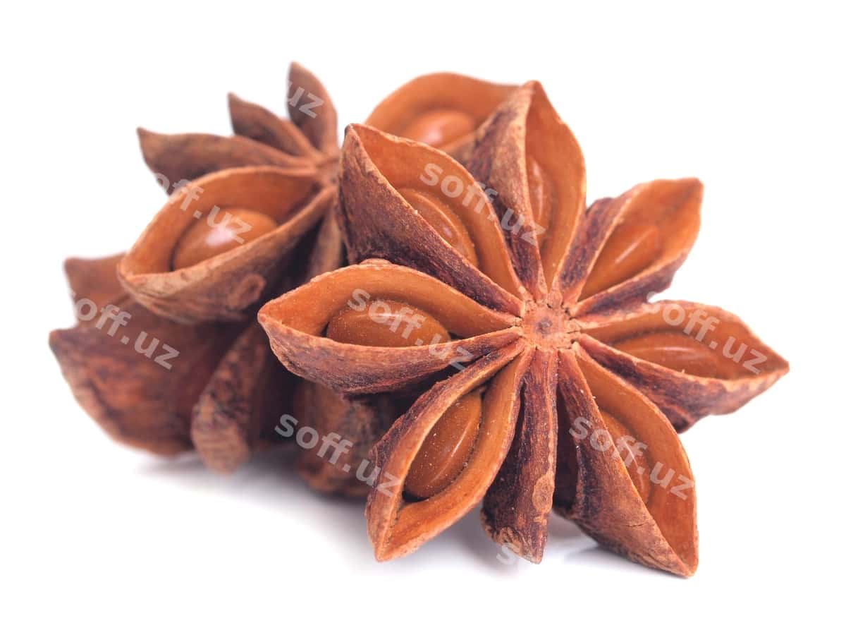 Anis yulduzlari oq orqa fonda | Anise stars white background 1