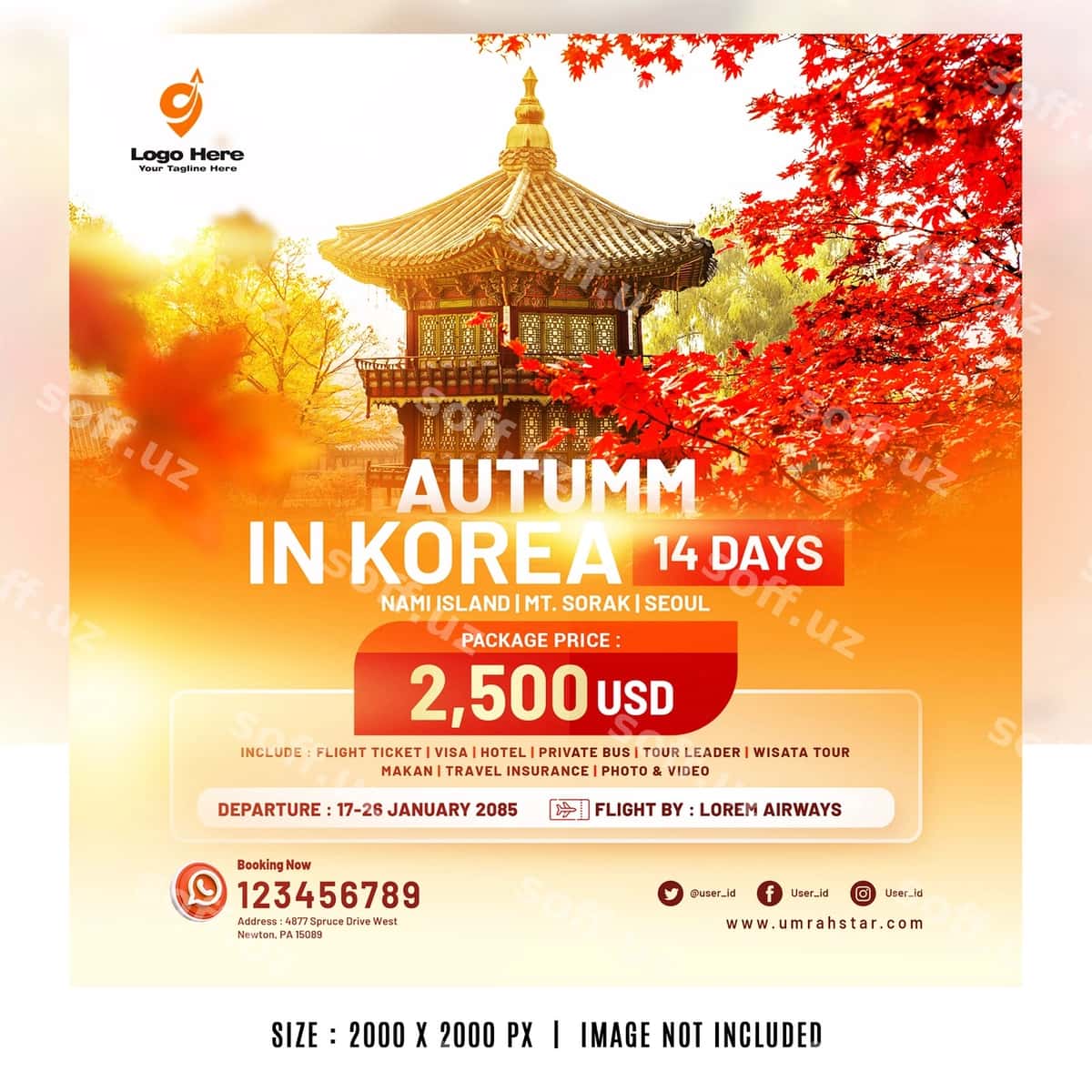 Kuz Koreya tur paketi | Autumn korea tour package 1