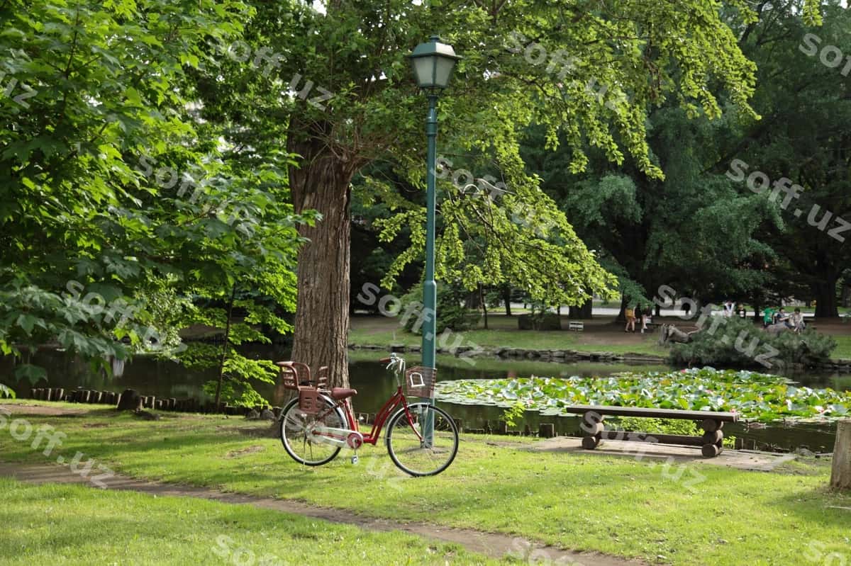 Velosiped parki | Bicycle park 1