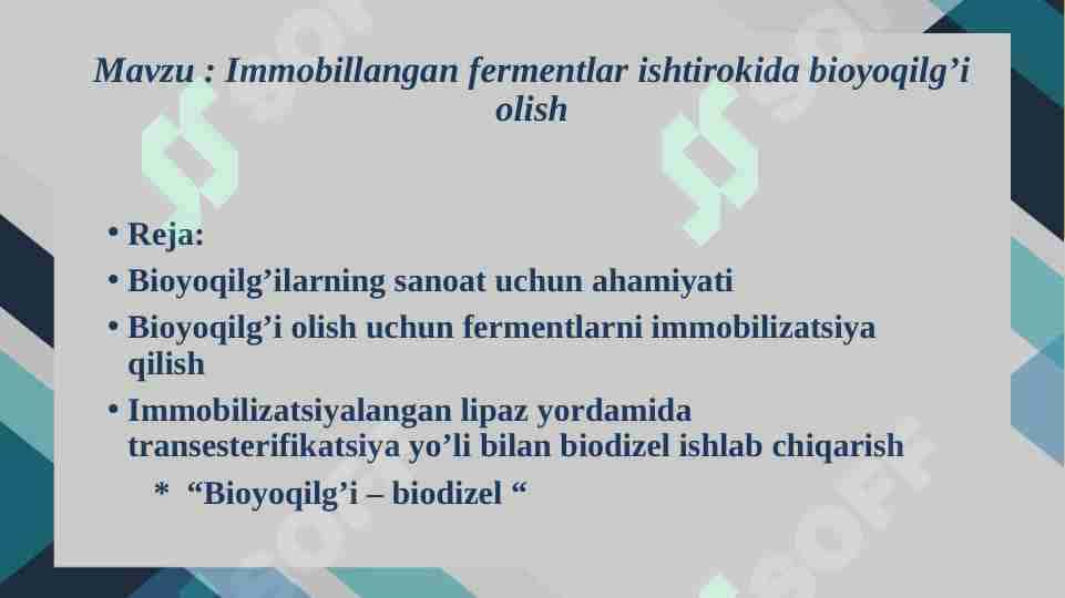 Immobillangan fermentlar ishtirokida bioyoqilg’i olish
