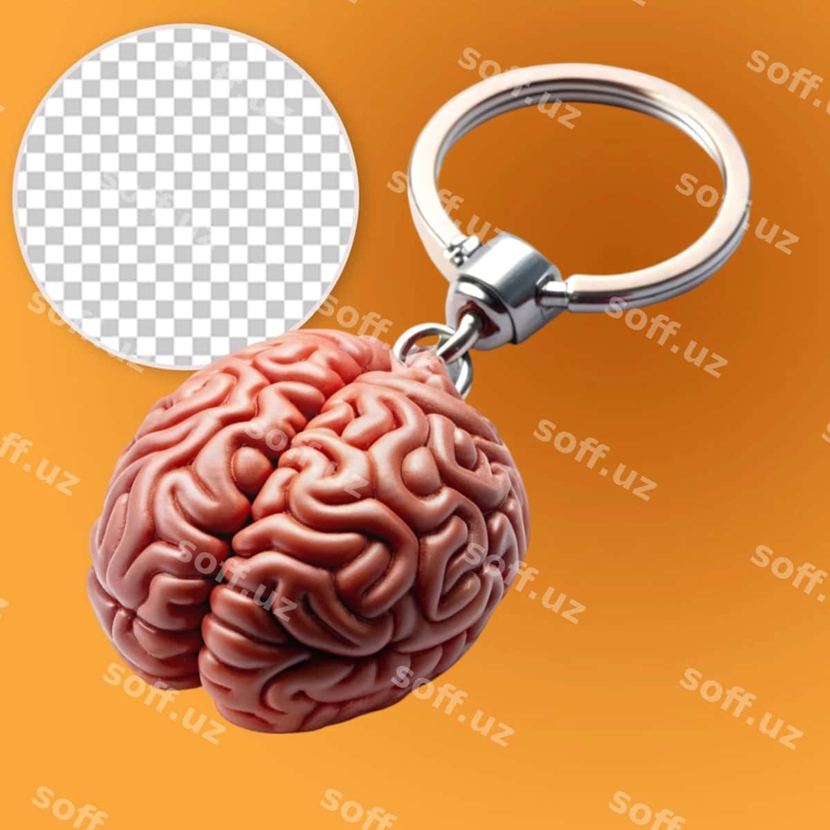 Bosh kalit halqasi | Brain keyring 1