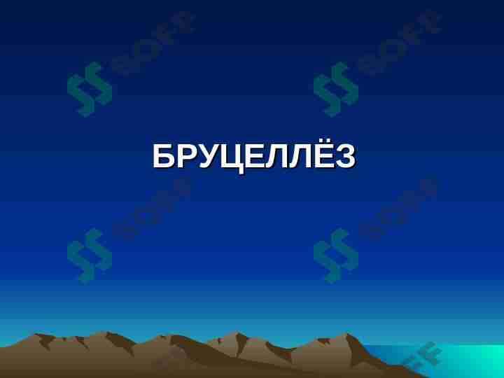 БРУЦЕЛЛЕЗ 1