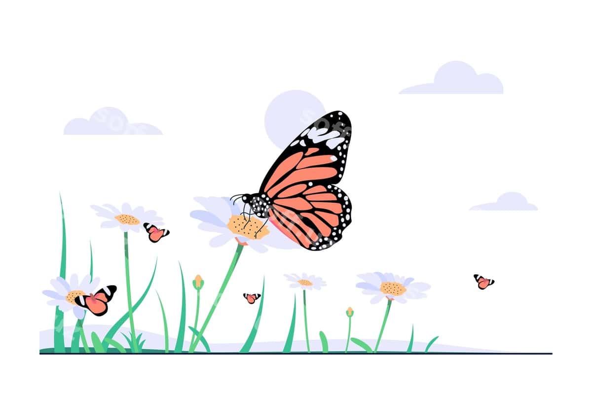 Chiroqcha tushunchasi tekis illustratsiyasi | Butterfly concept flat illustration 1