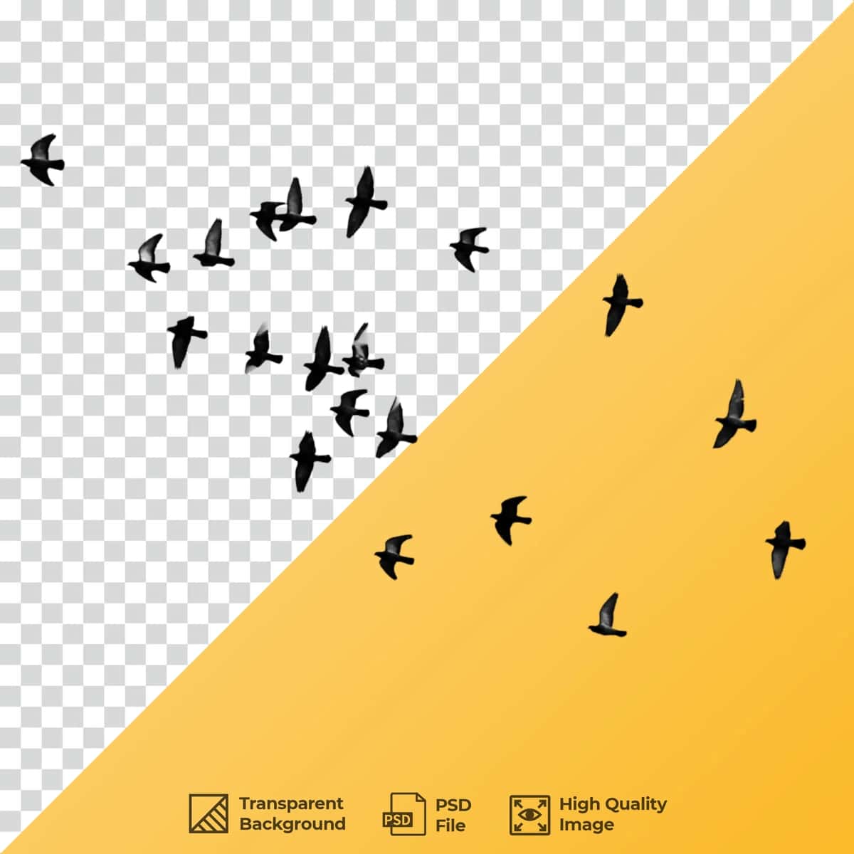 Poda qushlari uchmoqda | Flock birds flying 1