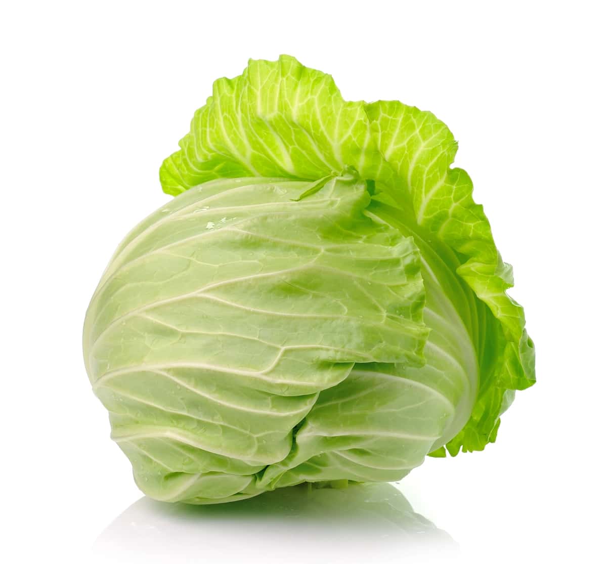 Hammayoqni izolyatsiya qilingan oq | Cabbage isolated white 1