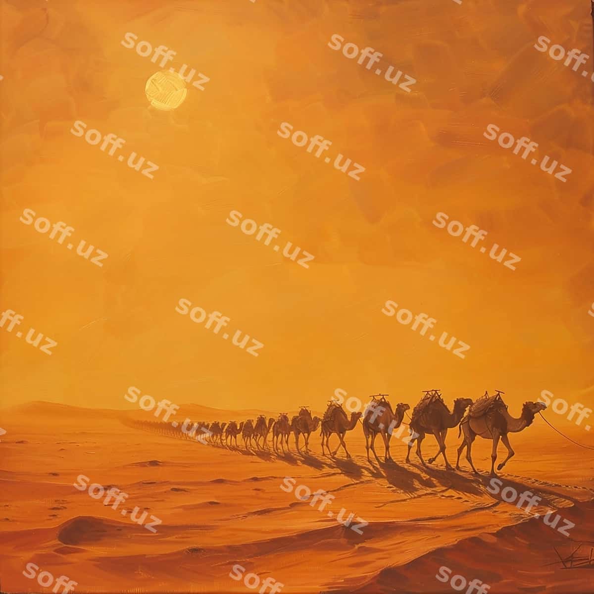 Damlar cho'lon o'tyotgan issiq quyosh | Camels crossing desert hot sun 1