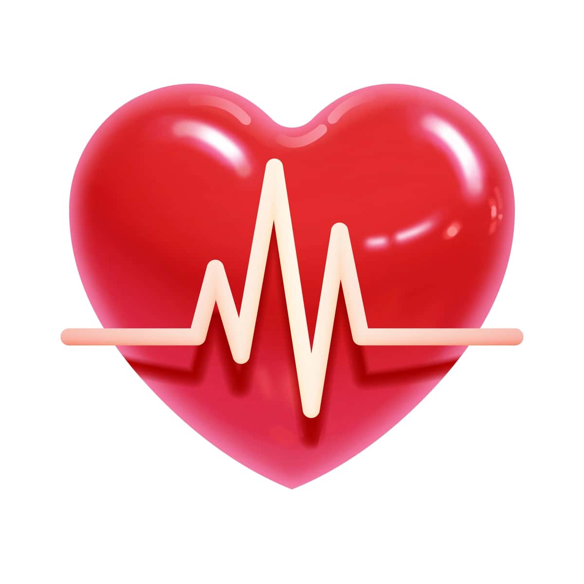 Oq fonda kardiogramma bilan haqiqiy hajmli yurak chizilgan | Realistic volumetric drawing heart with cardiogram white background 1