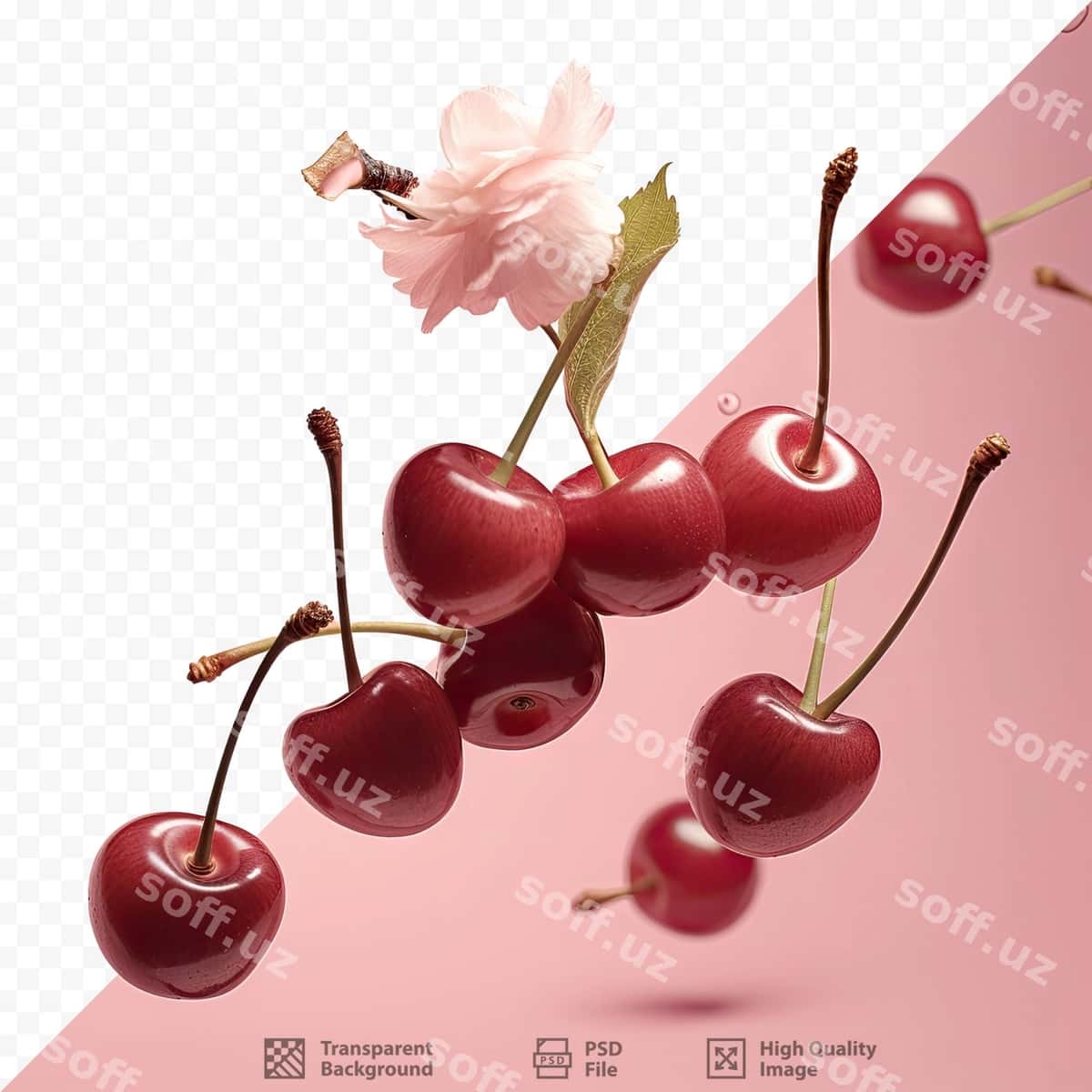 Gilas fon rasmi | Cherries background 1