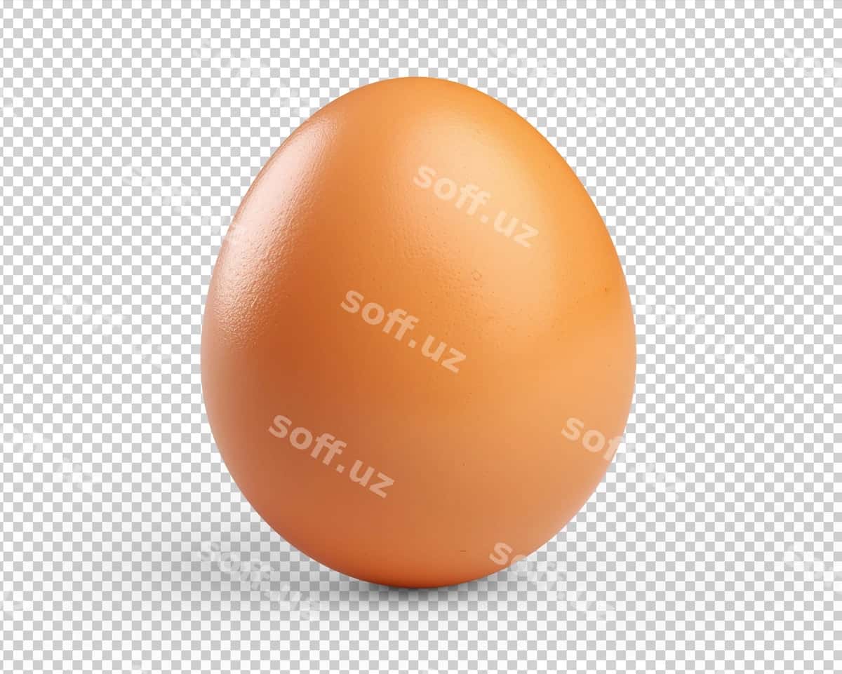 Tovuq uyum qo'llanma shaffof kesilgan shakl | Chicken egg manual cut out transparent 1