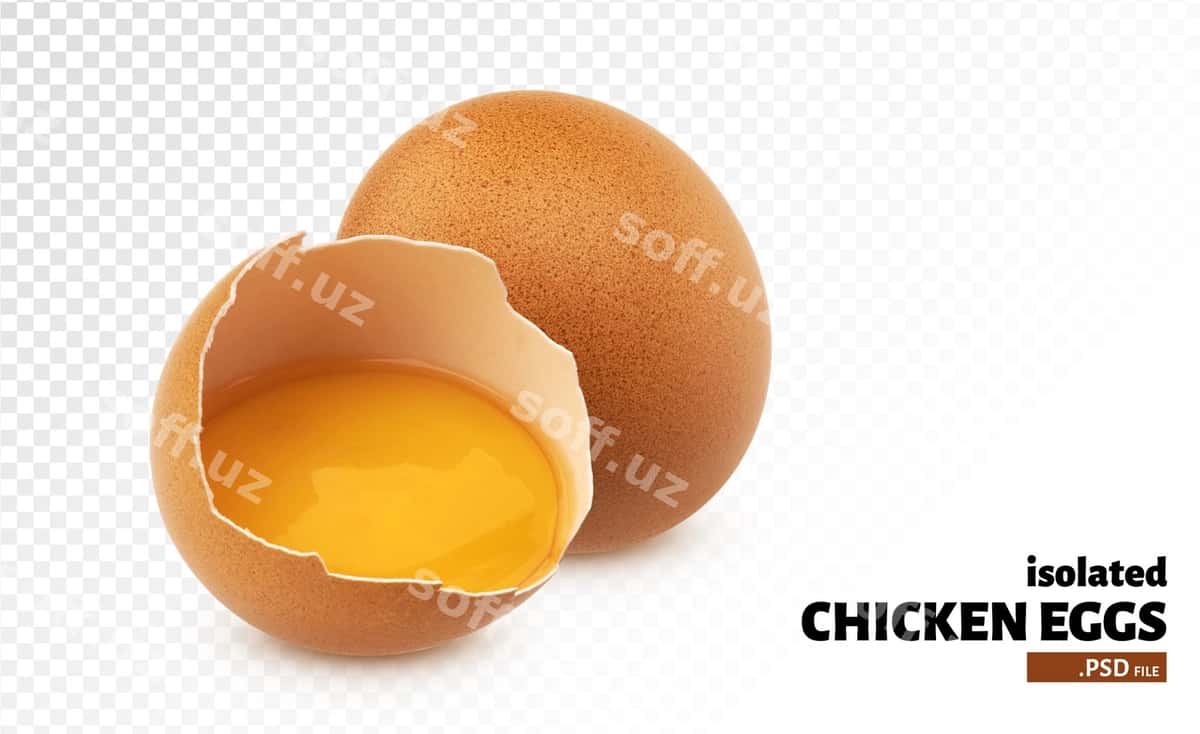 Tovuq tuxumlari izolyatsiya qilingan | Chicken eggs isolated 1