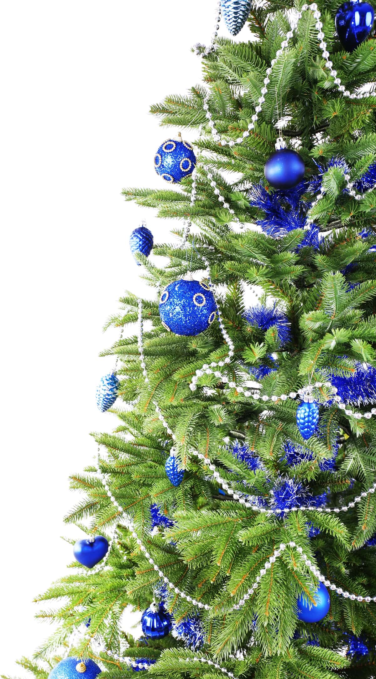 Rojdestvo daraxti oq izolyatsiya qilingan | Christmas tree isolated white 1
