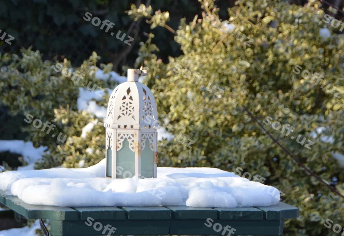 Yaqin rasm sok chiroyi daraxtlarning oldida | Close up ice cream cone against trees 1