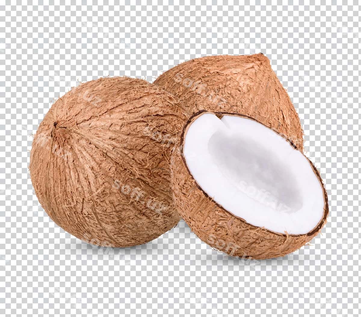 Kokos ajralgan | Coconut isolated 1
