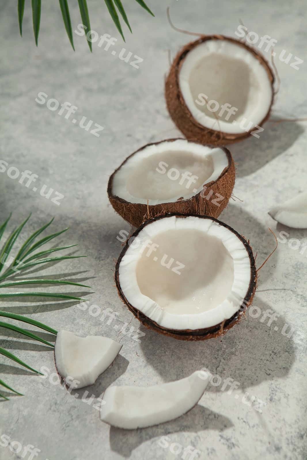 Kokos stol palm yaproqlari bilan | Coconut table with palm leaves 1