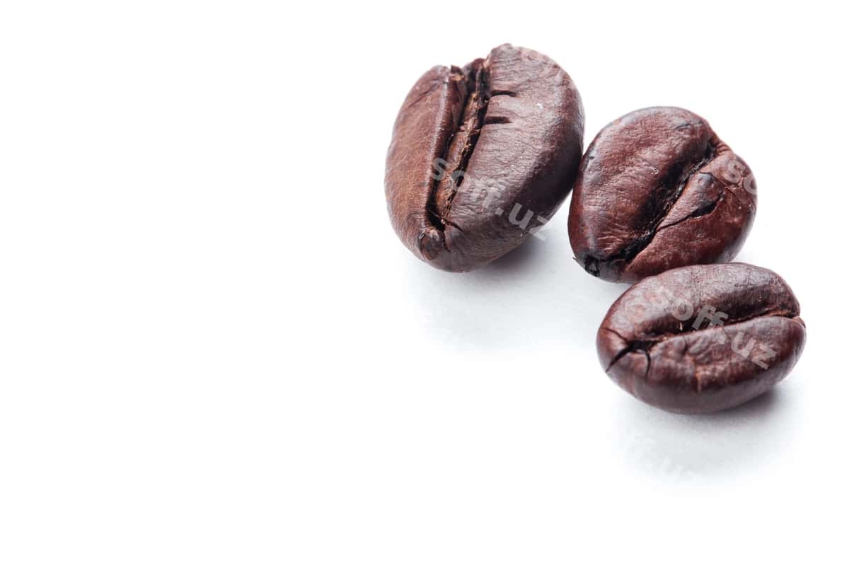 Qahvo urug'lari ajraltirilgan oq yuz | Coffee beans isolated white surface 1