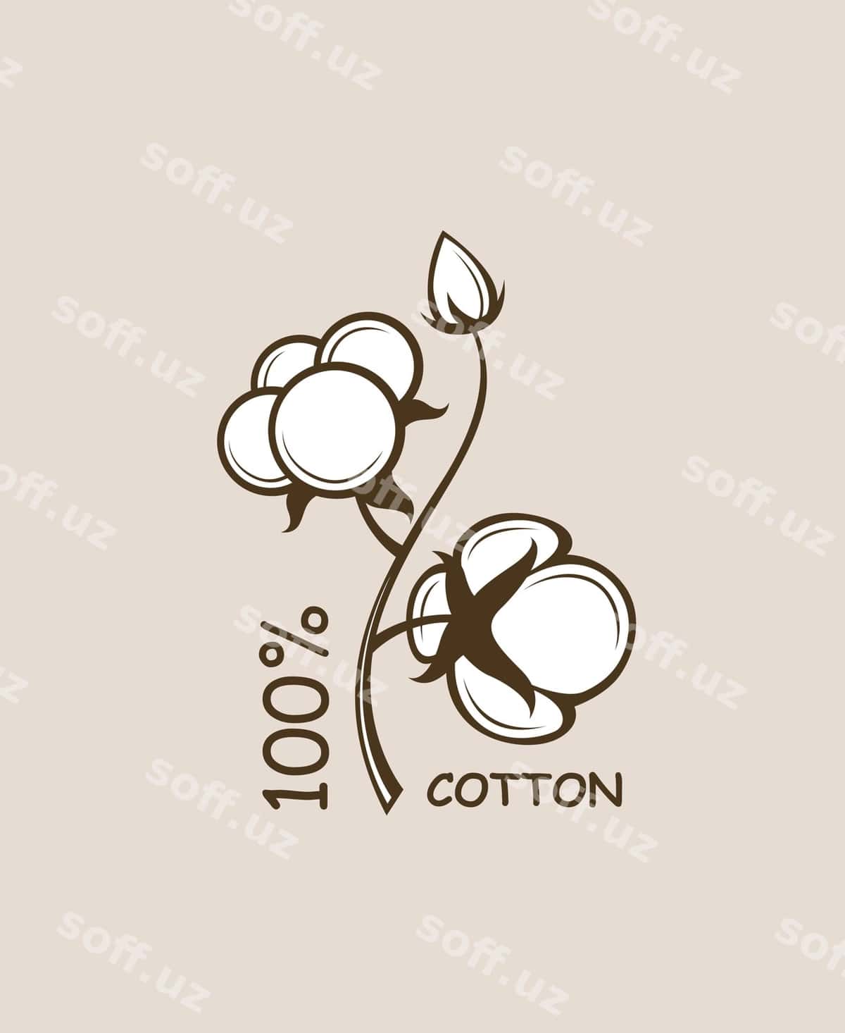 Paxlək o'simliosining dara | Cotton plant branch 1