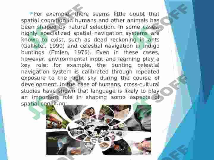Cultural varitation 4