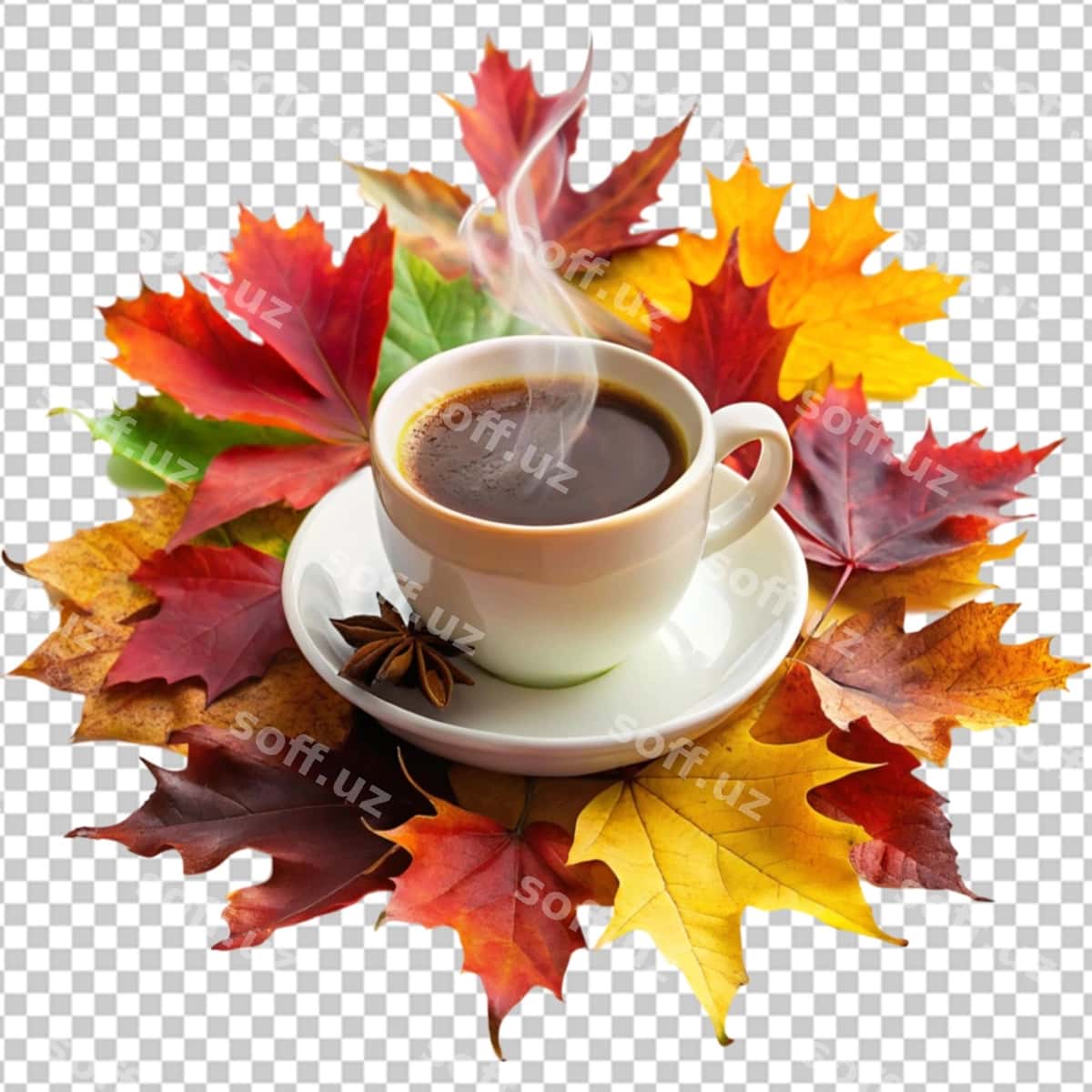 Barglari bilan chashka qahva | Cup coffee with leaves 1